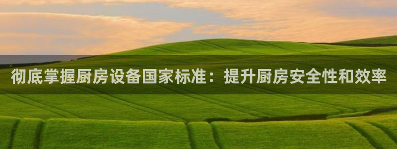 尊龙现在：彻底掌握厨房设备国家标准：提升厨房安全性和效率