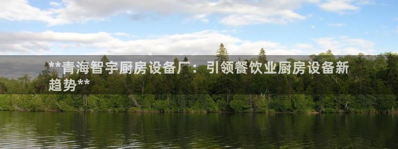 尊龙—人生就是博：**青海智宇厨房设备厂：引领餐饮业厨房设备