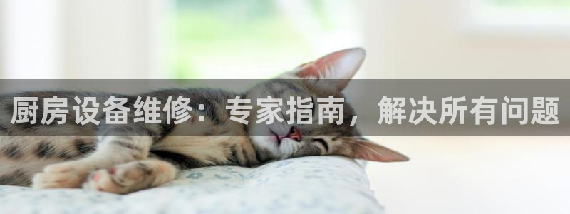 尊龙 ag：厨房设备维修：专家指南，解决所有问题