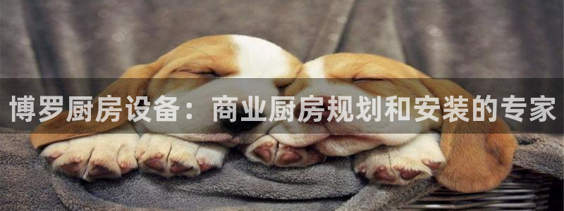 尊龙手机官方客户端下载：