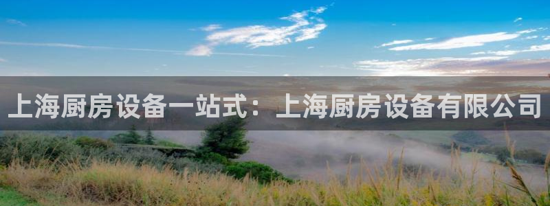 尊龙官方：上海厨房设备一站式：上海厨房设备有限公司