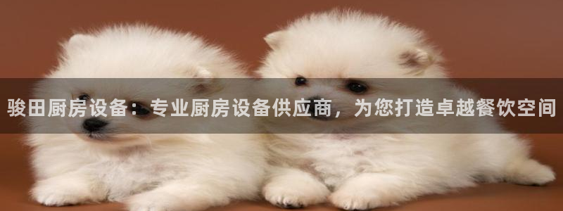 尊龙凯时v7要冲多少：骏田厨房设备：专业厨房设备供应商，为您