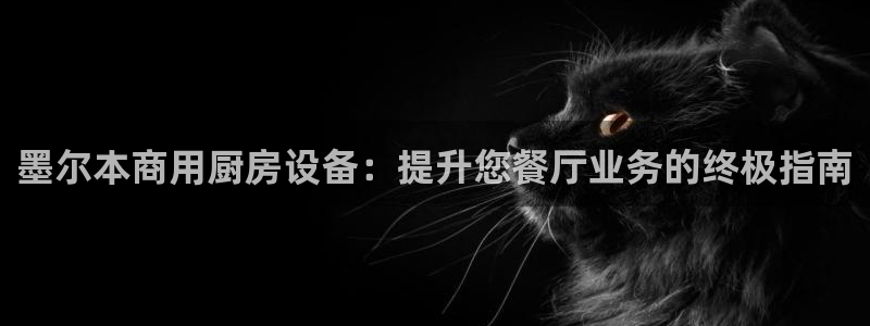 尊龙凯时的生产设备：墨尔本商用厨房设备：提升您餐厅业务的终极