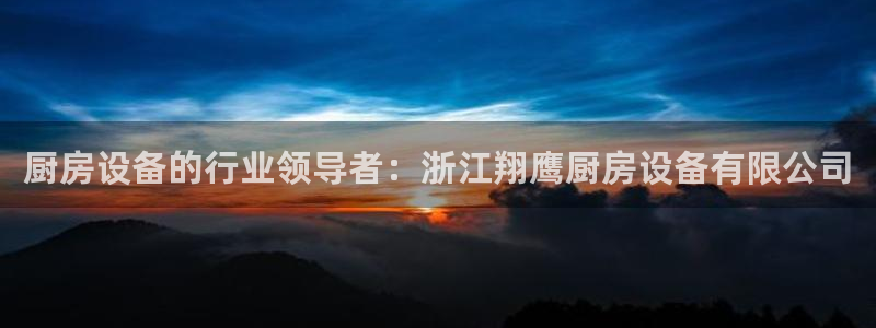 尊龙凯时官方网站：厨房设备的行业领导者：浙江翔鹰厨房设备有限