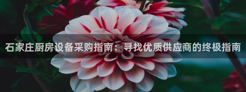 尊龙体育正规么：石家庄厨房设备采购指南：寻找优质供应商的终极