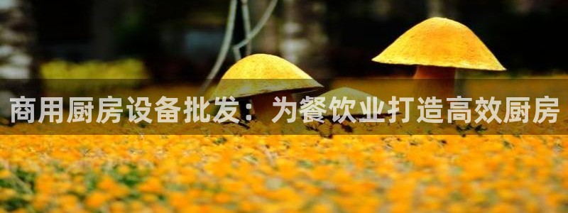 尊龙休闲e站怎么样：商用厨房设备批发：为餐饮业打造高效厨房