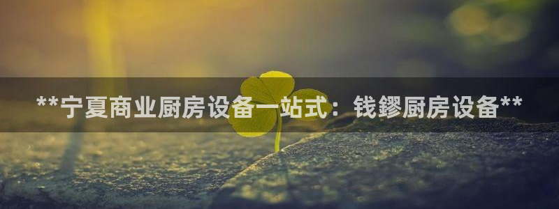 尊龙d88平台登录：**宁夏商业厨房设备一站式：钱鏐厨房设备