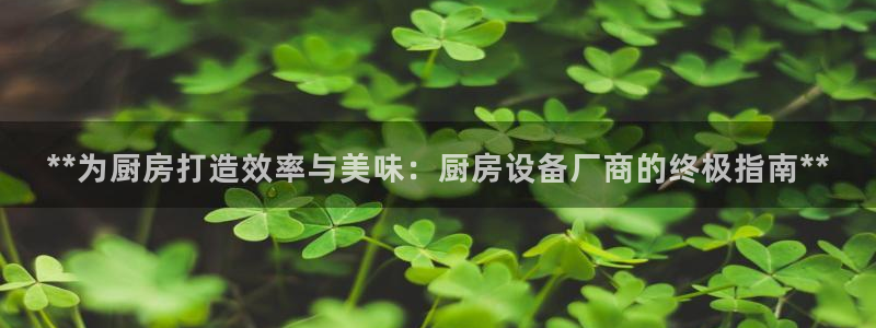凯时在线平台官网：**为厨房打造效率与美味：厨房设备厂商的终