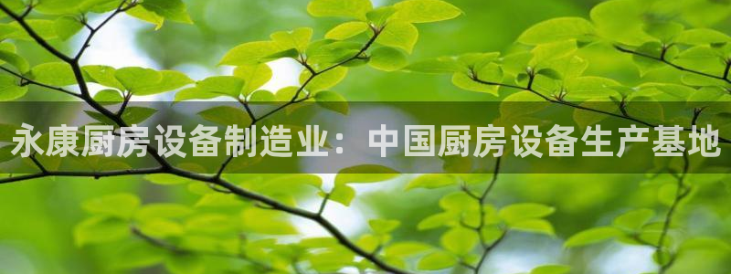 z6尊龙凯时：永康厨房设备制造业：中国厨房设备生产基地