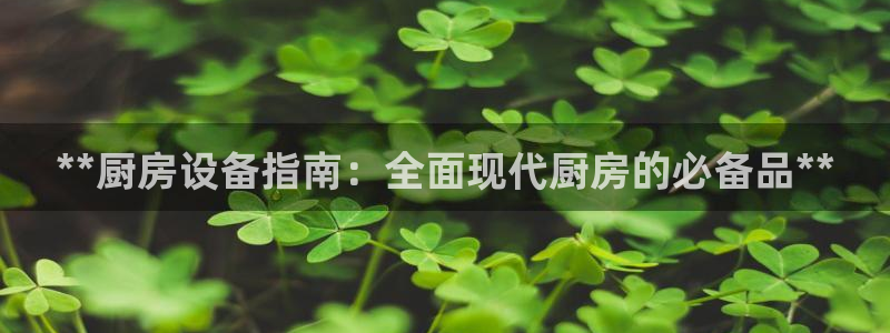 Z6尊龙凯时登录：**厨房设备指南：全面现代厨房的必备品**