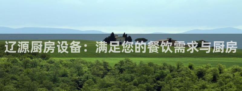 尊龙官网国际：辽源厨房设备：满足您的餐饮需求与厨房