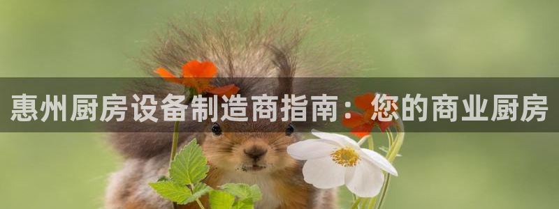 尊龙凯时ag旗舰厅：惠州厨房设备制造商指南：您的商业厨房