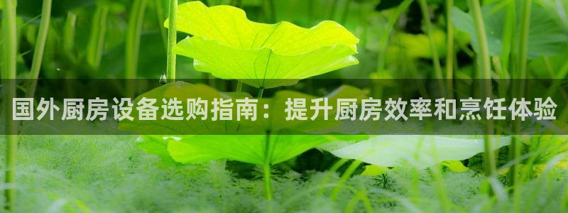 尊龙凯时几百万怎么下款：国外厨房设备选购指南：提升厨房效率和