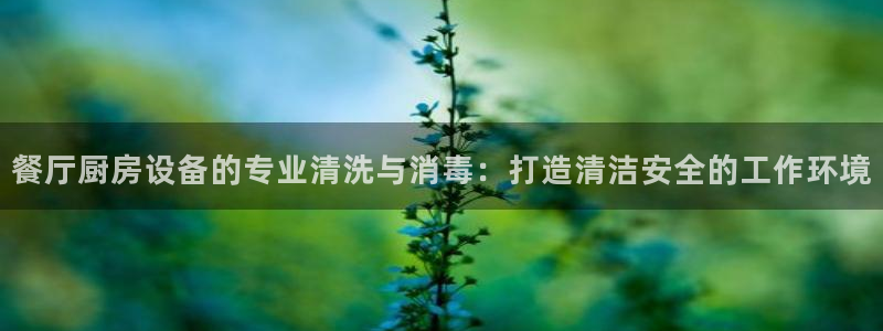 尊龙体育游戏平台：餐厅厨房设备的专业清洗与消毒：打造清洁安全