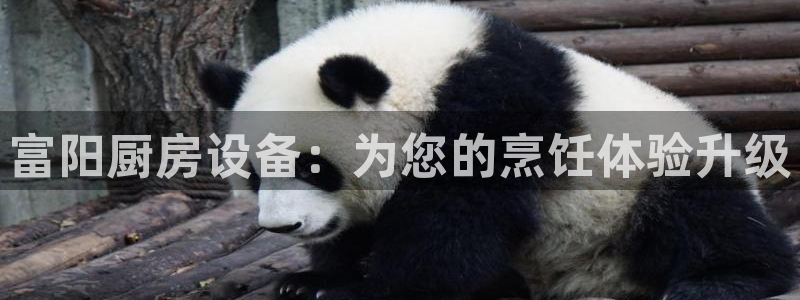 尊龙/人生就是博：富阳厨