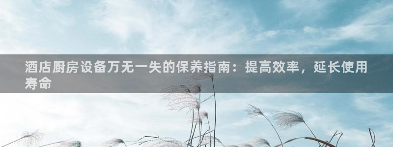 尊龙内地：酒店厨房设备万无一失的保养指南：提高效率，延长使用
