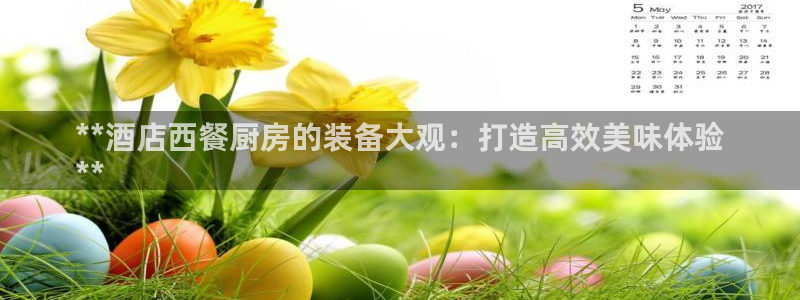 尊龙凯时登录：**酒店西餐厨房的装备大观：打造高效美味体验
