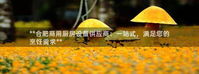 尊龙凯时-人生就是博中国官网：**合肥商用厨房设备供应商：一