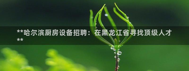 尊龙凯时：**哈尔滨厨房设备招聘：在黑龙江省寻找顶级人才
*