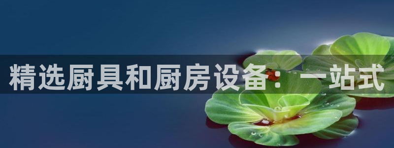 尊龙凯时ag旗舰厅官方网站