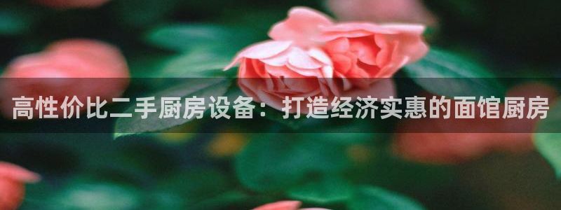 首页尊龙d88国际：高性价比二手厨房设备：打造经济实惠的面馆