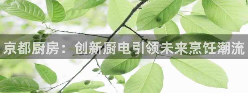 尊龙现金娱乐 下载