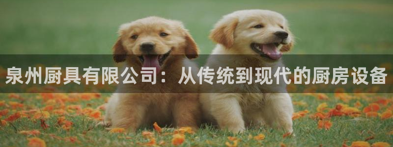 K66凯时国际平台官网
