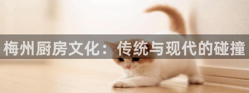 尊龙凯时口碑好吗