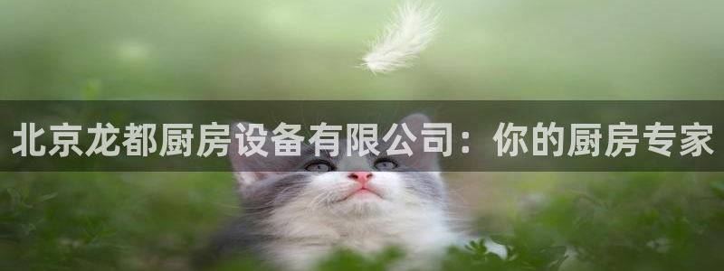 尊龙凯时品牌介绍