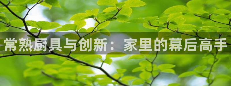尊龙凯时-人生就是博中国官网
