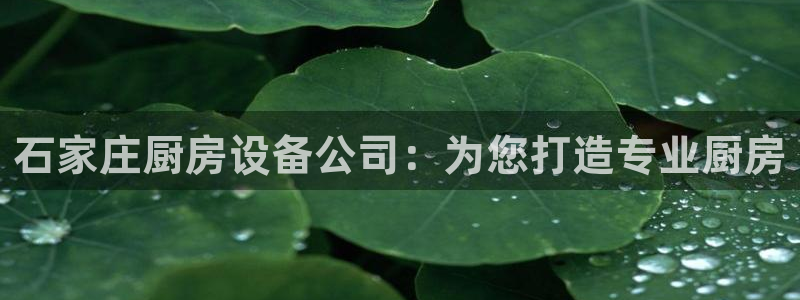 尊龙d88现金 旧版本可靠送38元：石家庄厨房设备公司：为您