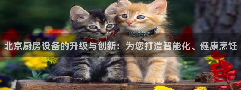凯时国际app首页下载