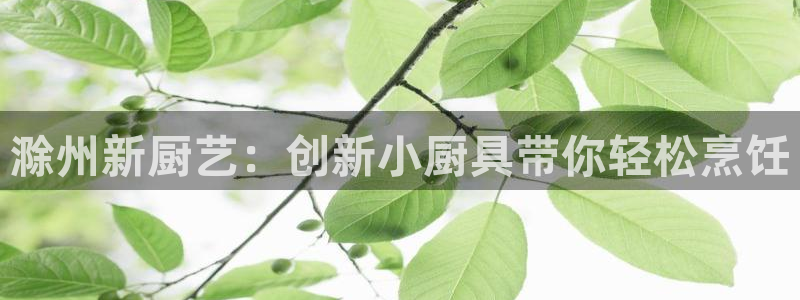 尊龙品牌怎么样
