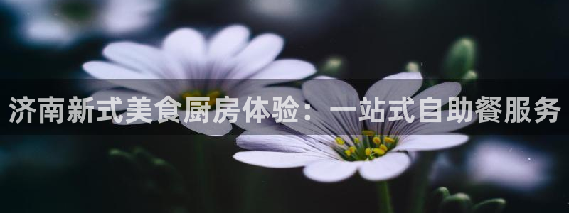 尊龙app|首选agdaohang
