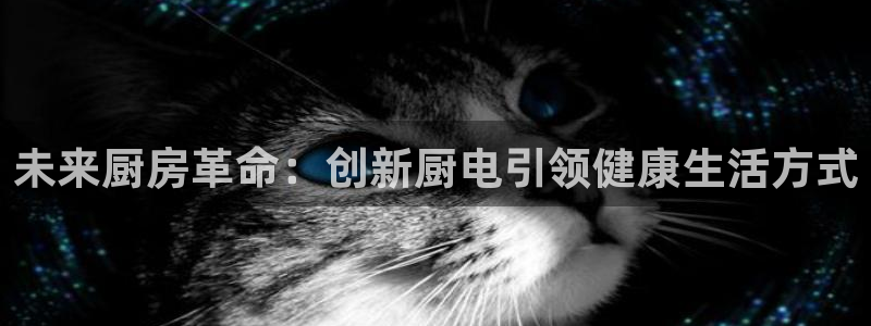 尊龙人生就是博网站下载