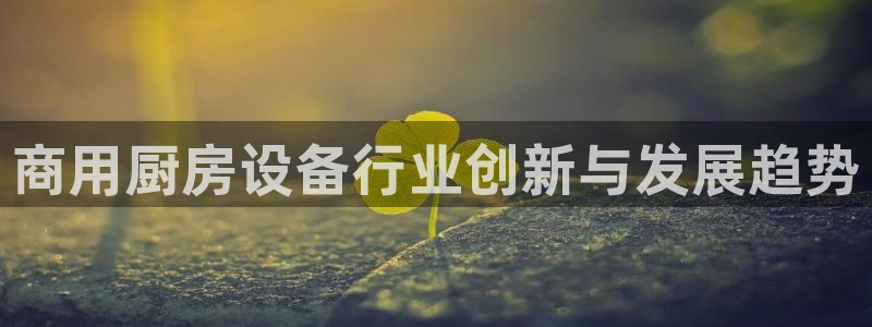 凯时kb88·中国官方网站
