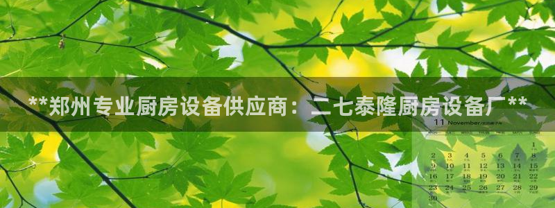 尊龙凯时-人生就是博中国官网：**郑州专业厨房设备供应商：二