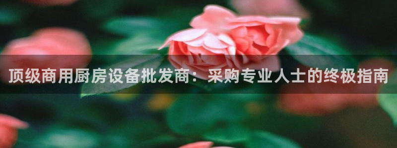 凯时官网联系方式：顶级商用厨房设备批发商：采购专业人士的终极