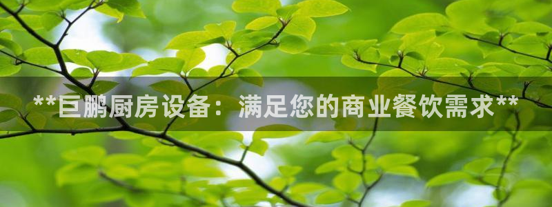 agz6尊龙凯时集团：**巨鹏厨房设备：满足您的商业餐饮需求