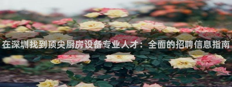 尊龙ag旗舰：在深圳找到