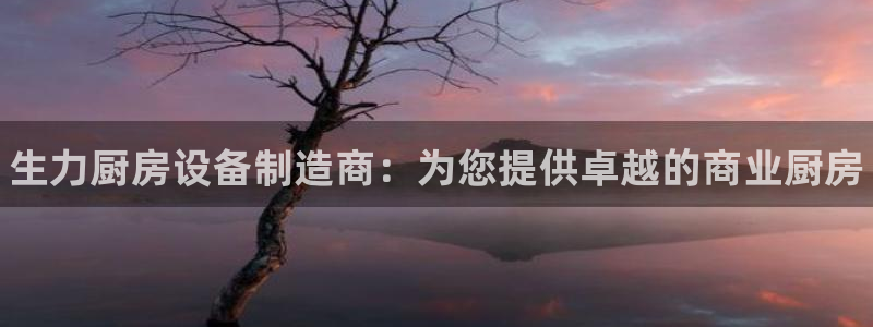 尊龙品牌怎么样