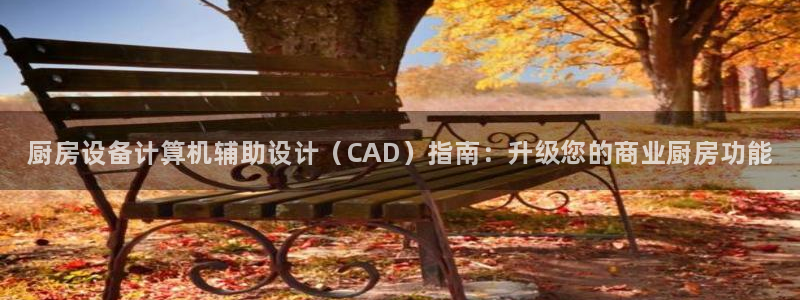 尊龙官方身高：厨房设备计算机辅助设计（CAD）指南：升级您的