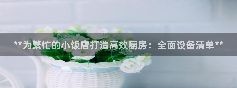 凯时国际娱乐官方网址：**为繁忙的小饭店打造高效厨房：全面设