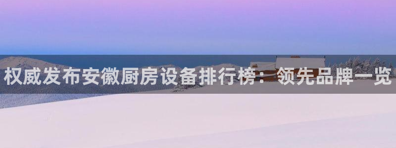 尊龙凯时俱乐部：权威发布安徽厨房设备排行榜：领先品牌一览