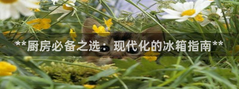 尊龙凯时取款24小时不到账：**厨房必备之选：现代化的冰箱指