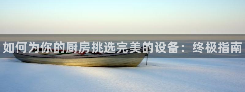 新版尊龙99：如何为你的厨房挑选完美的设备：终极指南