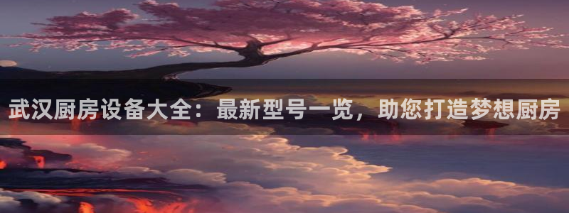 尊龙是什么软件：武汉厨房设备大全：最新型号一览，助您打造梦想