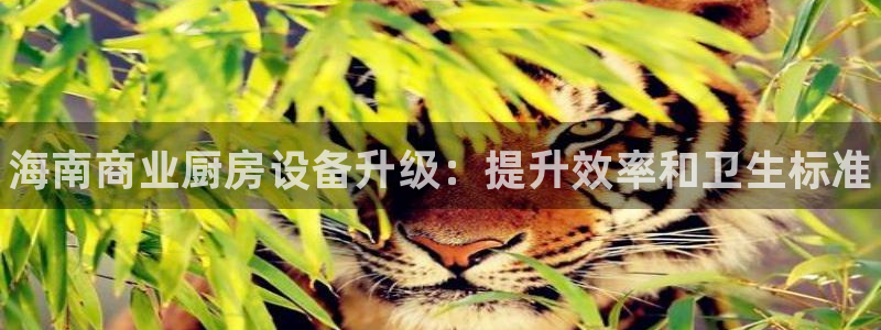 尊龙凯时能不能提现?：海南商业厨房设备升级：提升效率和卫生标